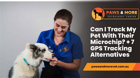 can i use rfid to track pet chip|find lost pets by microchip.